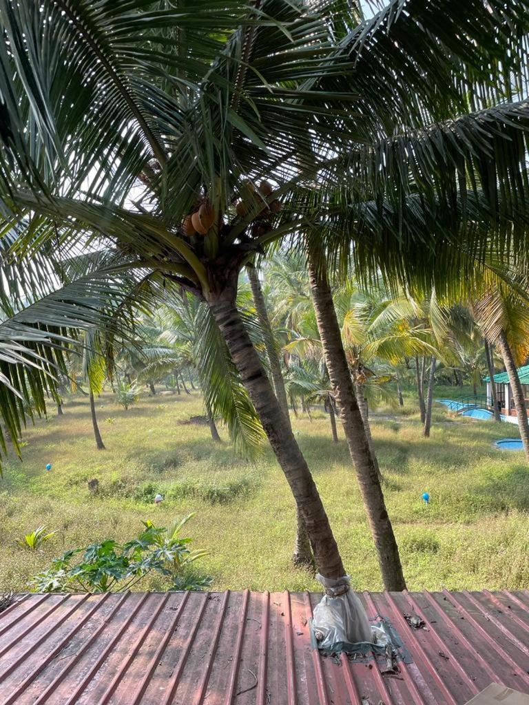 Joets Guesthouse Bogmalo Bagian luar foto